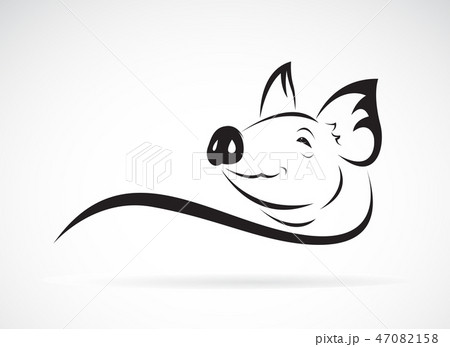 Vector of pig head design. Animal farm. Vector of pig head design. Animal farm. 47082158