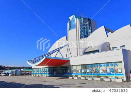 御前崎海鮮なぶら市場 47082636