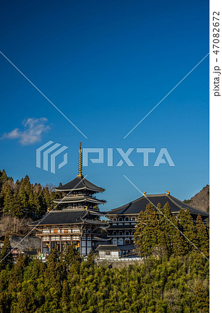 但馬大仏　長楽寺 47082672