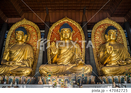但馬大仏　長楽寺 47082725