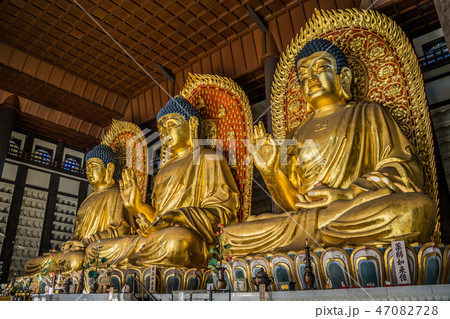但馬大仏　長楽寺 47082728