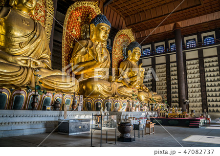 但馬大仏　長楽寺 47082737