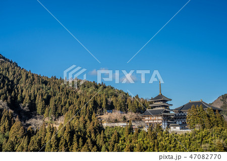 但馬大仏　長楽寺 47082770