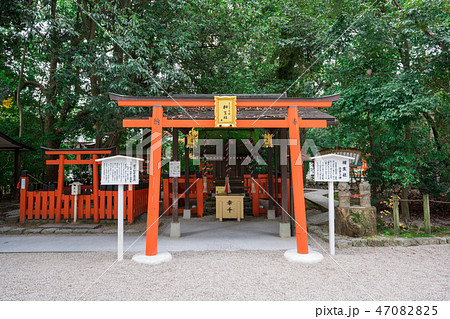 京都 下鴨神社の相生社(あいおいのやしろ) 京都 下鴨神社の相生社(あいおいのやしろ) 47082825