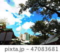 境内から見る空 47083681