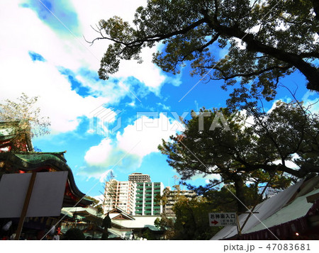 境内から見る空 47083681