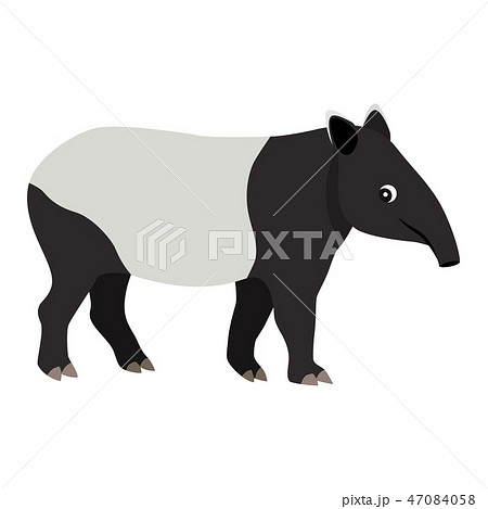 Cute friendly wild animal, black and white tapir icon Cute friendly wild animal, black and white tapir icon 47084058