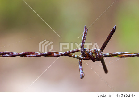 Old rusty Barbed wire fence and spider web. Old rusty Barbed wire fence and spider web. 47085247