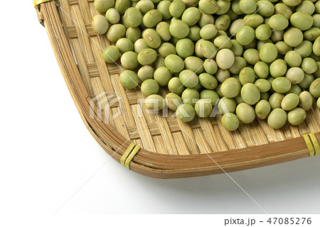 青大豆 青大豆 47085276