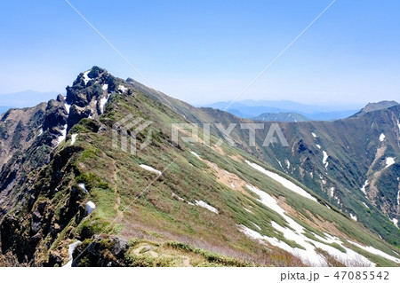 春の谷川岳登山 （一ノ倉岳方面からオキノ耳を望む） 47085542