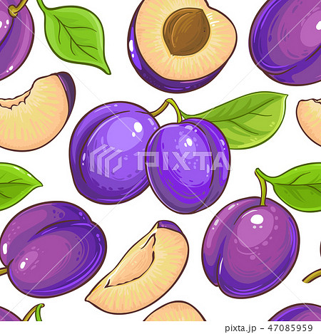 plum vector pattern 47085959