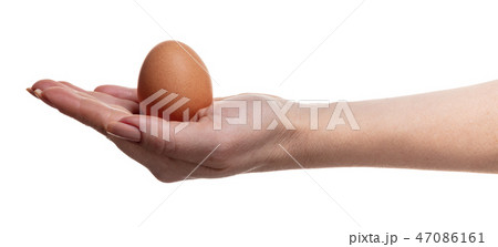 chicken egg in female hand chicken egg in female hand 47086161
