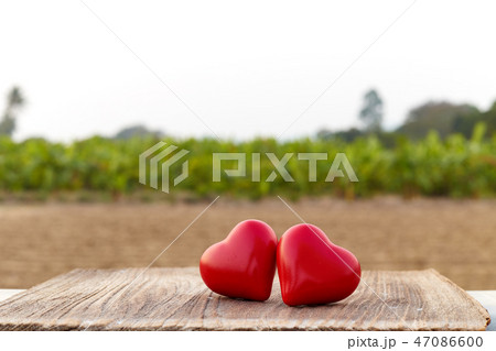 Two Heart on a wooden board Two Heart on a wooden board 47086600