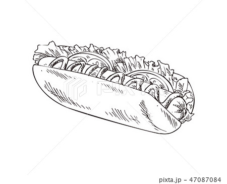 Graphic Art Of American Hot Dog Vector Bannerのイラスト素材