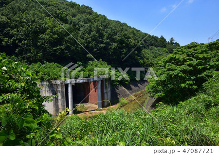 龍崖山公園の風景 その2 龍崖山公園の風景 その2 47087721