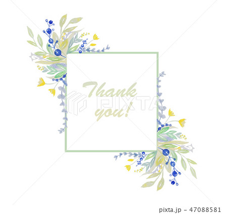Watercolor herbarium frame with plants. Watercolor herbarium frame with plants. 47088581