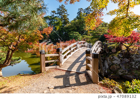 高橋と紅葉 玄宮園 高橋と紅葉 玄宮園 47089132