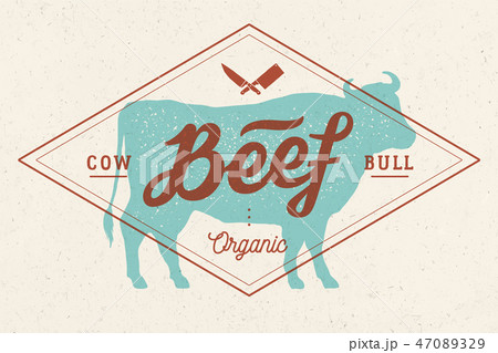 Cow, bull, beef. Vintage lettering, retro print, poster 47089329