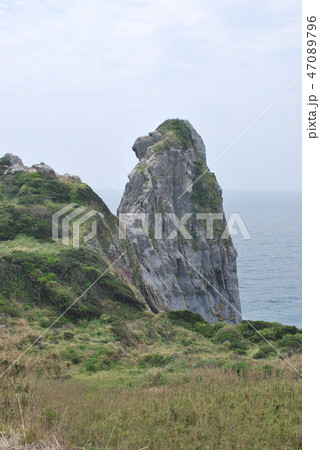 壱岐のゴリラ岩 壱岐のゴリラ岩 47089796