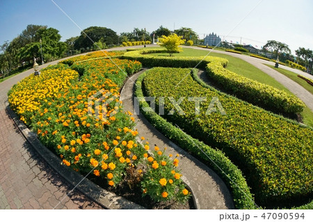 タイ王国バンコク、ラマ9世公園の庭園、花壇、お花畑 47090594
