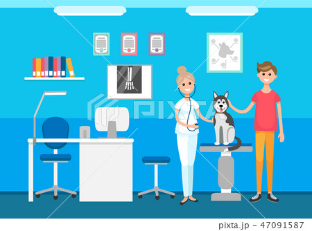 Veterinary Clinic Veterinarian and Pet on Checkup 47091587