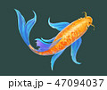 Carp koi polygonal fancy illustration eps10 47094037