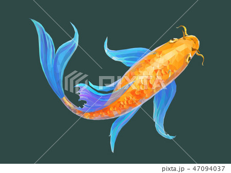 Carp koi polygonal fancy illustration eps10 47094037