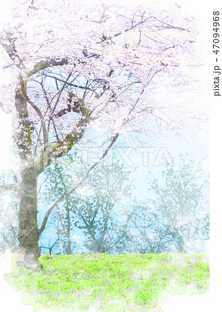 水面に反射した空と桜 水彩画風のイラスト素材