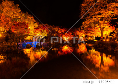 桜山公園紅葉のライトアップ 群馬県藤岡市 の写真素材