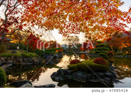 桜山公園紅葉のライトアップ 群馬県藤岡市 の写真素材