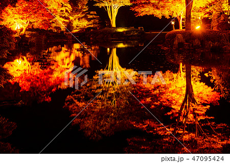 桜山公園紅葉のライトアップ 群馬県藤岡市 の写真素材