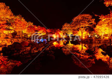 桜山公園紅葉のライトアップ（群馬県藤岡市） 47095426