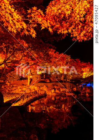 桜山公園紅葉のライトアップ（群馬県藤岡市） 47095427