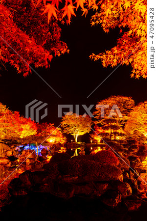 桜山公園紅葉のライトアップ（群馬県藤岡市） 47095428