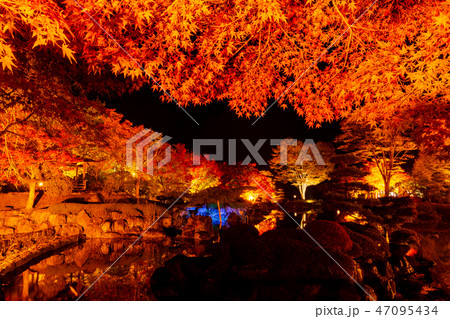 桜山公園紅葉のライトアップ(群馬県藤岡市) 桜山公園紅葉のライトアップ(群馬県藤岡市) 47095434