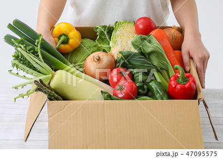 段ボールに入った野菜 47095575