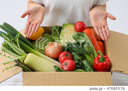 段ボールに入った野菜 47095576