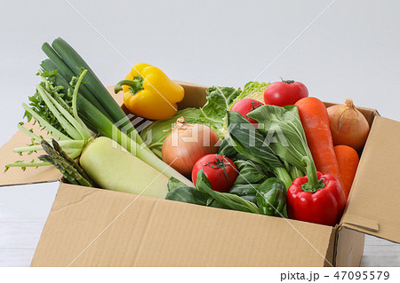段ボールに入った野菜 47095579