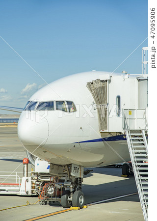 【羽田空港　第2旅客ターミナル】 47095906