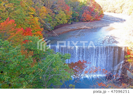 森の大橋から眺める紅葉の松川渓谷 47096251