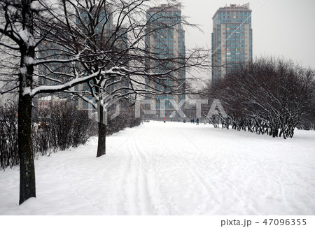 City park at winter. City park at winter. 47096355