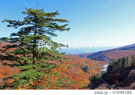 松川大橋から松川温泉方面を望む 47096388
