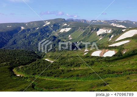 トムラウシと高根ヶ原_緑岳山腹 47096789