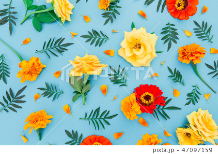 Flower pattern with yellow and red flowers 47097159