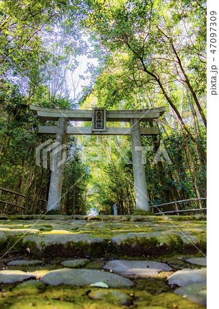 大富神社の鳥居 47097309