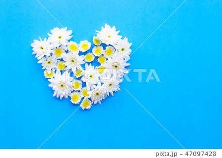 Composition of white yellow flowers Composition of white yellow flowers 47097428