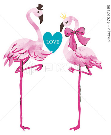 Flamingo Vector For Print Designのイラスト素材