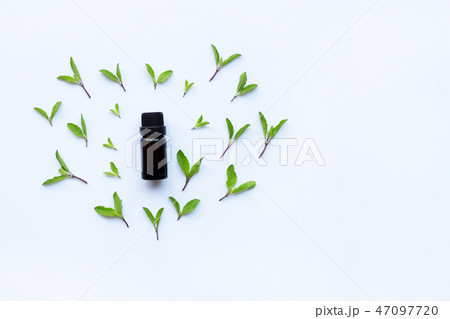 Holy basil essential oil in a glass bottle  47097720