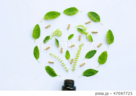 Medical bottle glass with Holy basil leaves 47097725