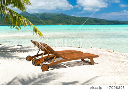 tropical beach with palm tree and sunbeds tropical beach with palm tree and sunbeds 47098893